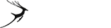 【完整安装包】官方下载的ddos网页端